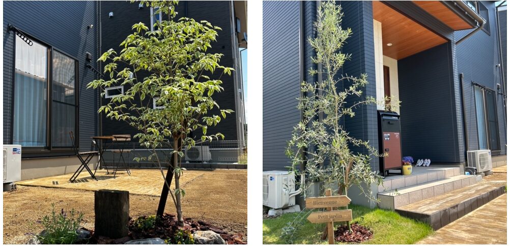 コパンデガーデンの情報まとめ