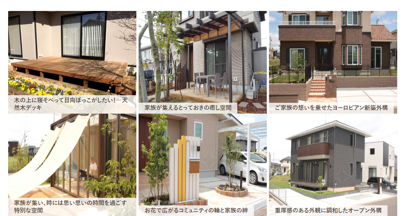 ここちテリアの情報まとめ