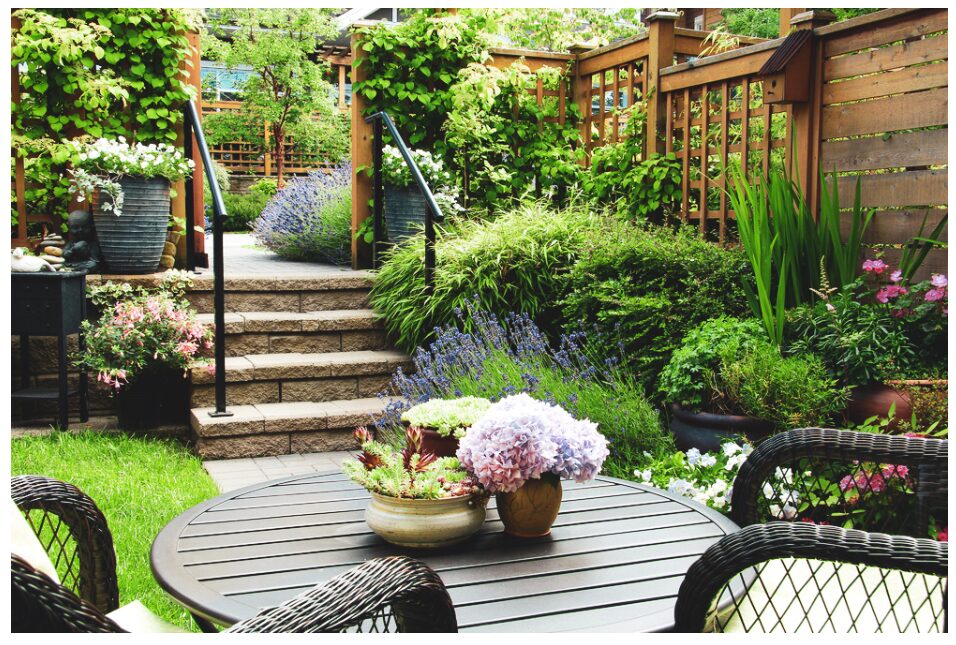 庭 関塚の情報まとめ